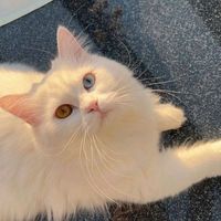 เสียงต้นฉบับ - 🔰อนุวัฒน์🔰