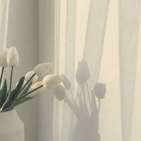 オリジナル楽曲 - みたらし🎧🎶