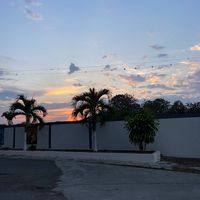 juanpabloparra_34658