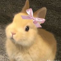 suara asli - Tesykunu29