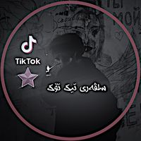 silvar.editor