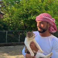 الصوت الأصلي