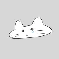 chimo_nz
