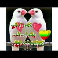 userbb54678