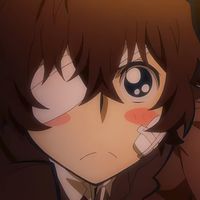 _rin_s_s_