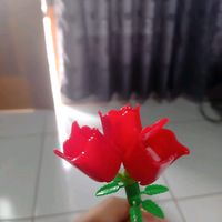 ..arin_wynna