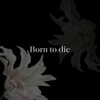 nhạc nền - ️