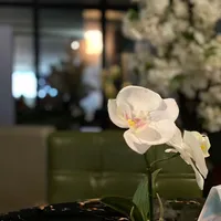 original sound - rryui11