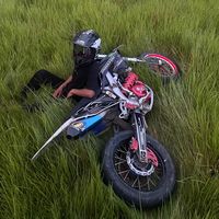 __yalison