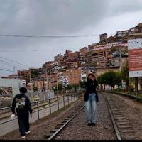 sam_l.c1