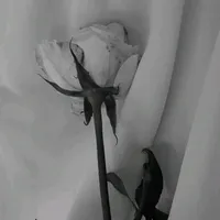 original sound - helpsxmay_0