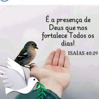 luzileneoliveira92