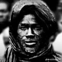 cheikh.ibra22