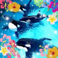 .adoqtm3