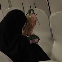الصوت الأصلي