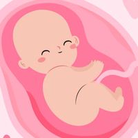 nhạc nền - Tổng Hợp Clip Pregnant