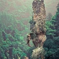 VOICE OF SPARKO YUAN Asia nor be for small pikin o