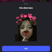igsxnofc_