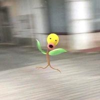 오리지널 사운드 - 단밤🌕