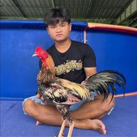bank.boonwan