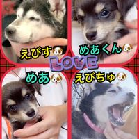 オリジナル楽曲 - 美紀🎬💜