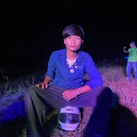 pjo_yan_2006