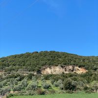 kenge_22