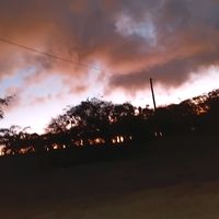 franderalvarado3