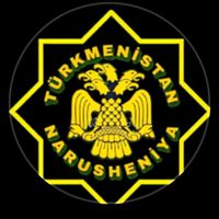 narusenyatm77