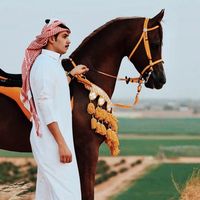 saud.360