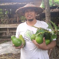 suara asli - tukang.ngaret81