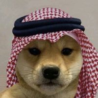 user5180092260251