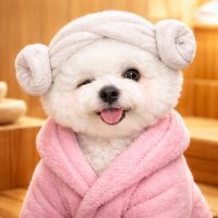 오리지널 사운드 - 뽀숑이는 못말려