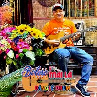 nhạc nền - Đăng Lê Drum 🥁 Bolero Mái Lá