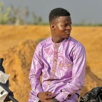 isdollarleprincedupays