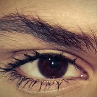 sam_1ve6