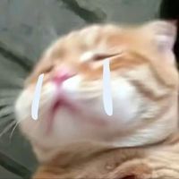 nhạc nền - Ối dồi ôii!!