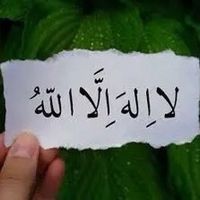 abo_omar339
