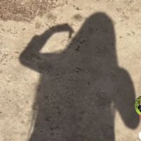 sb_misti_0