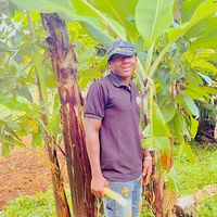 anody.mwanjala