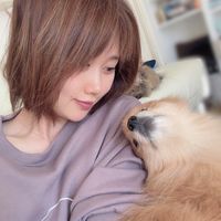 miyajyaga382
