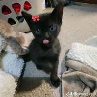 original sound - မောင်စလိုးメAGX