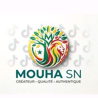mouhasn221_