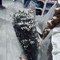 suara asli - alapyuubibeh