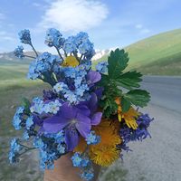 оригинальный звук
