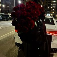 whois_shams