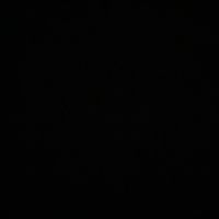 nicol785_2