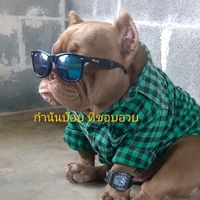 mini_donut205