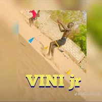 fallou.vini.jr8