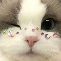 オリジナル楽曲 - 常に寝不足な人